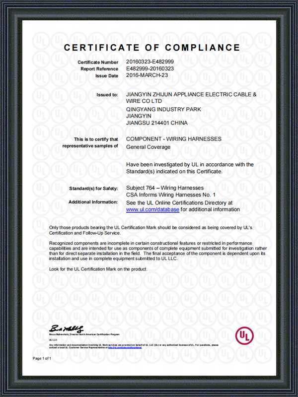 Jiangyin Zhijun Appliance Electric Cable and Wire Co., Ltd