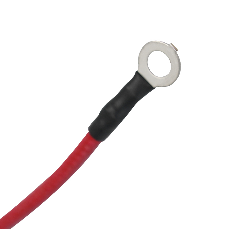 Verkabelung des Schnellkochtopfs. Interne Anschlussverkabelung des Schnellkochtopfs Verkabelung des Schnellkochtopfs. Interne Anschlussverkabelung des Schnellkochtopfs